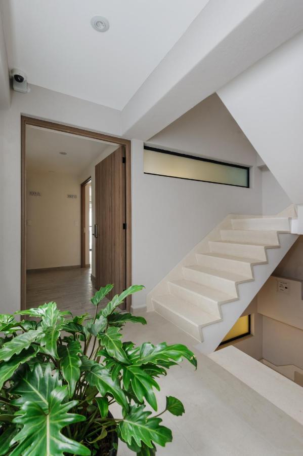 Choapan 28 - Lux Apartments In Condesa Meksika Dış mekan fotoğraf